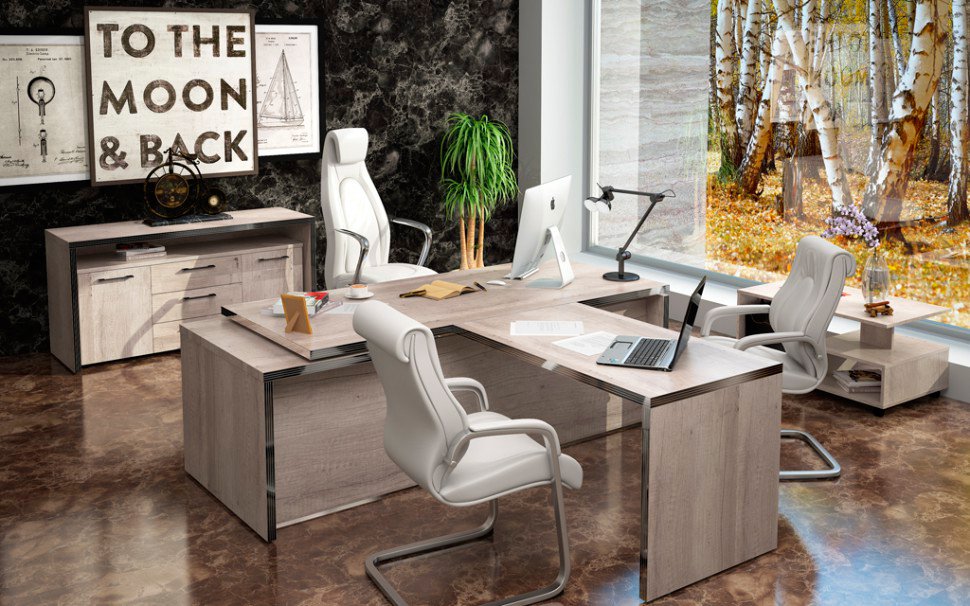 Кабинет для руководителя TORR - вид 7